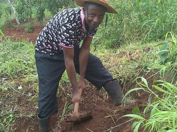 MY ROLE AS AYOUNG PROFESSIONAL IN AGRICULTURE